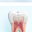 Root Canal Treatment Icon